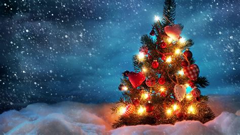 2560x1440 Resolution tree, new year, christmas 1440P Resolution ...