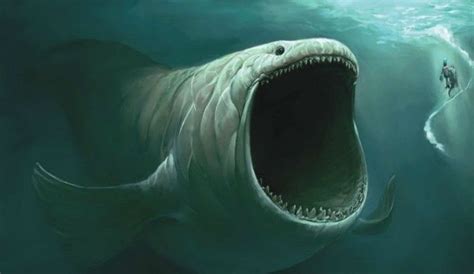 Great White Shark: Attack By Sea Monster Swallows ‘Small’ Shark, Is It The Bible’s Leviathan ...