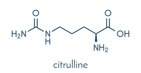 What is Citrulline? - Life Not Labs