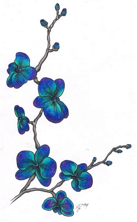 Blue Orchid Tattoo