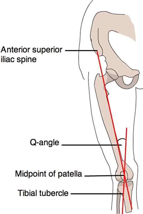 Strengthen Quadriceps Muscles | Causes of Valgus Knee