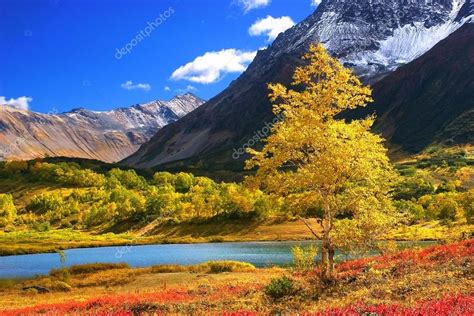 Beautiful landscape on Kamchatka mountains and forests - Stock Photo , #Aff, #Kamchatka, # ...