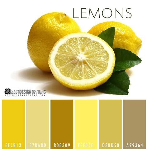 blue lemon colour palette - Google Search | Livre de couleur, Mellow ...