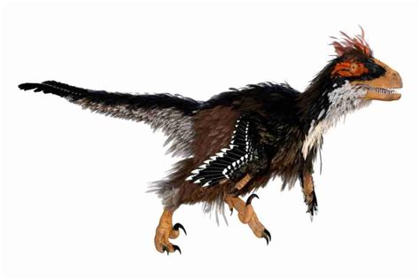 How Do We Know Dinosaurs Had Feathers? Surprising Prehistoric Mysteries!