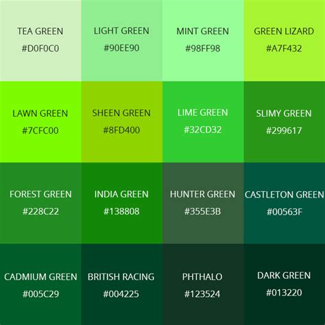 Meaning of the Color Green: Symbolism, Common Uses, & More