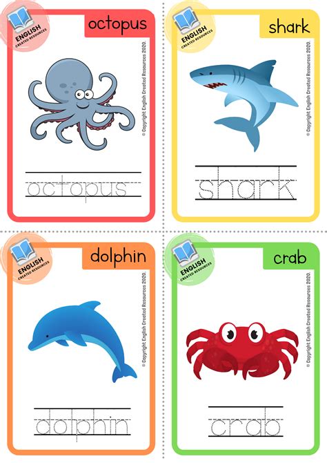 Sea Animals Flashcards