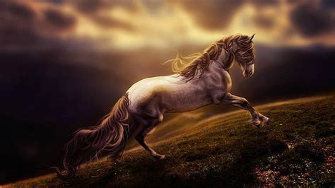 Online crop | HD wallpaper: horse, fantasy art, hillside, meadow, field, run, digital art ...