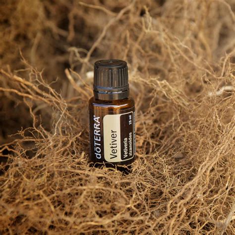 Vetiver Oil Uses and Benefits | doTERRA Essential Oils | doTERRA Essential Oils