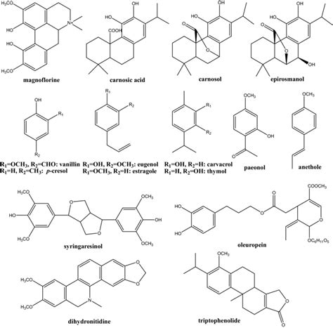 Phenolic Compounds Structure