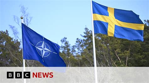 Sweden and Finland join Nato military exercises | BBC News - World News