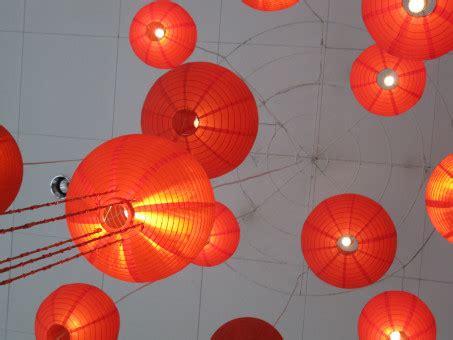 Free Images : flower, petal, balloon, lantern, red, color, toy, hong ...