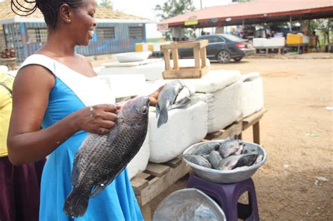 E/R: Invasive Aquatic Weeds On Volta Lake Threatening Fishing In Kpong | Bryt FM