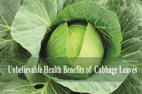 Unbelievable Benefits Of Cabbage Leaves That Wonders EveryOne