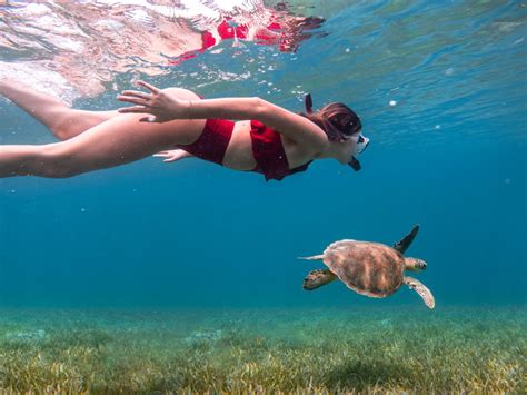 The Best Culebra Snorkeling Tour for Unforgettable Underwater