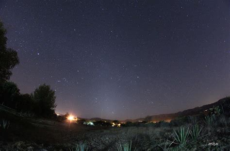 Zodiacal Light - Sky & Telescope - Sky & Telescope