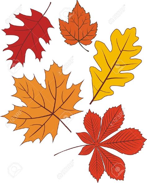 print out fall leaves drawings using pencil - Yahoo Image Search Results | Leaf drawing, Autumn ...