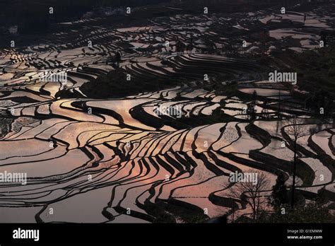 Yuanyang County Stock Photos & Yuanyang County Stock Images - Alamy