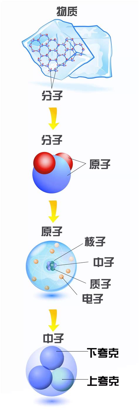 17种粒子