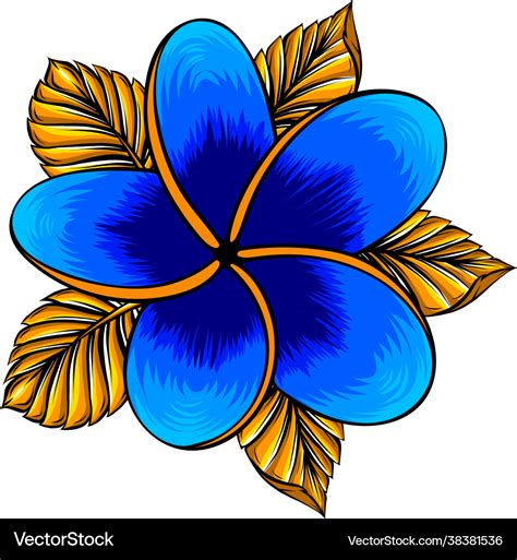 Frangipani flower isolated Royalty Free Vector Image