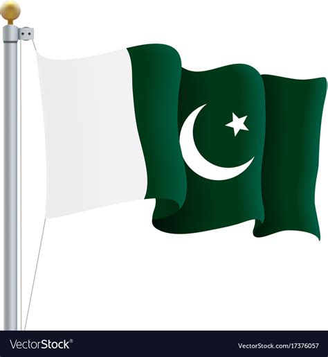 Waving pakistan flag isolated on a white Vector Image