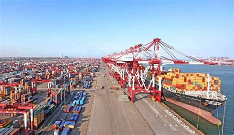 Qingdao Port Buys Stake in Cosco Abu Dhabi | Shipping Herald