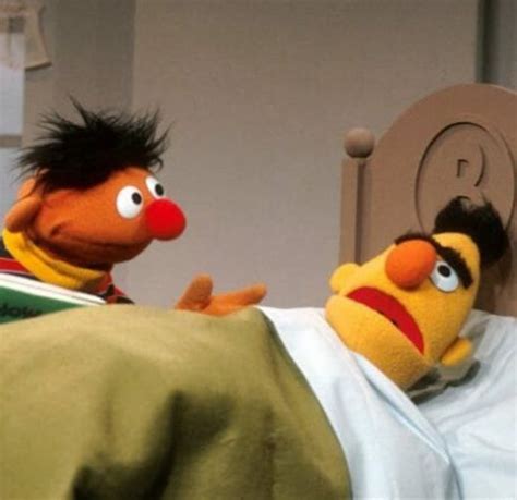 Bert and Ernie: Yup, We're Gay! - The Hollywood Gossip