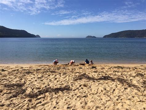 PATONGA CAMPING GROUND: 2020 Reviews - Photos of Campground - Tripadvisor