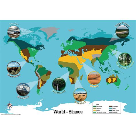 World Biomes Map