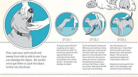 Heimlich Maneuver For Dogs Poster By TheLuckyLadybug ...