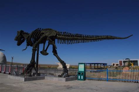 Dinosaur Museum of Erenhot. - All You Need to Know BEFORE You Go - Updated 2021 (China ...