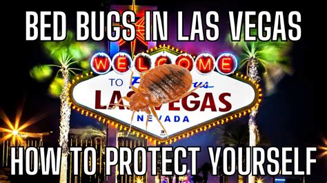 Bed Bugs In Las Vegas - How To Protect Yourself On The Las Vegas Strip (How To Check For Bed ...