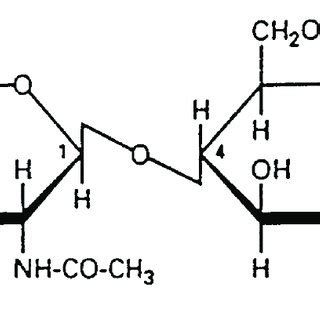 Chemical Structure of chitin (Lertsutthiwong et al., 2002) | Download Scientific Diagram