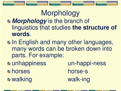 PPT - Morphology PowerPoint Presentation, free download - ID:4724558