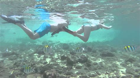 Poipu beach snorkeling GoPro Hero4 Sessions camera - YouTube