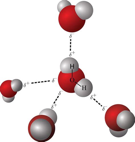 Intermolecular Forces - Bonding and Chemical Interactions - Training MCAT General Chemistry Review