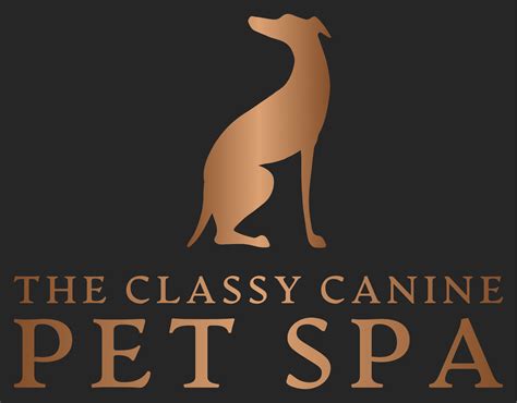 The Classy Canine Pet Spa | Colorado Springs CO