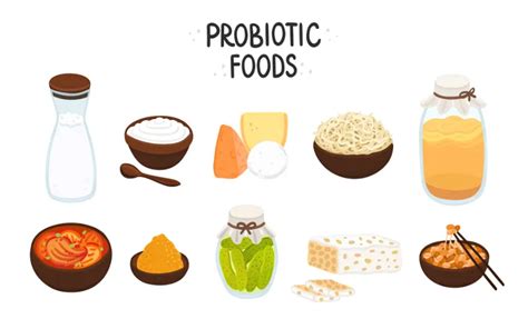 Discover the Best Foods Packed with Probiotics - Biom Probiotics