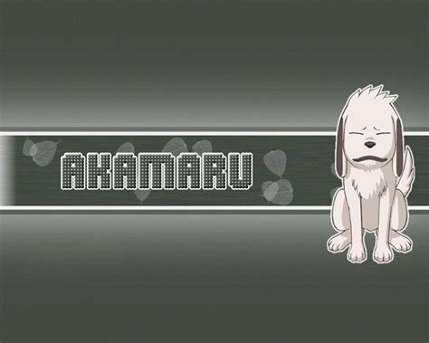 Akamaru Dog Wallpapers - Wallpaper Cave