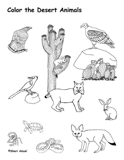 Free Desert Animals Coloring Pages, Download Free Desert Animals Coloring Pages png images, Free ...