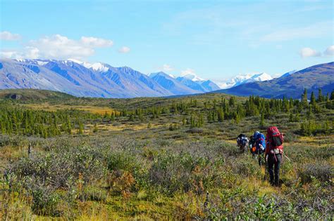 Hiking and backpacking guided tours in the Yukon - Terre Boréale
