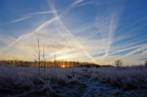 Frosty morning - PentaxForums.com