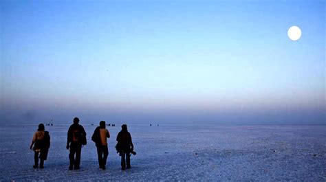 Why Visit Rann Utsav During Full Moon