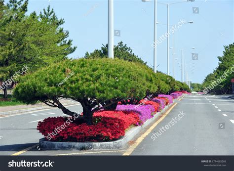 626 Median strip Images, Stock Photos & Vectors | Shutterstock