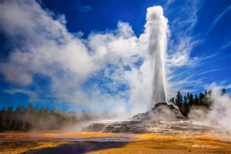 How to Plan the Ultimate Yellowstone Vacation - Bentwood Inn