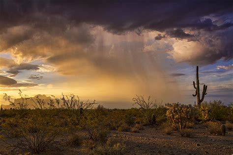 A Little Desert Rain Photograph by Saija Lehtonen - Pixels