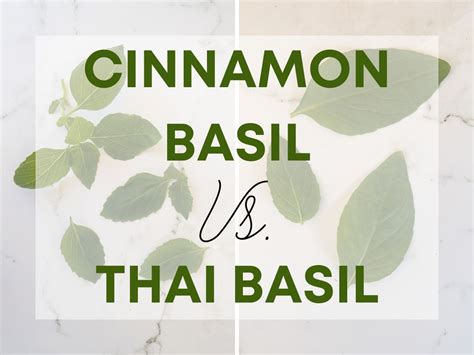 Cinnamon Basil vs Thai Basil (Why Are They Confused?)