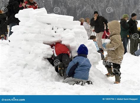 Man Building An Igloo From Snow Blocks Stock Photography ...