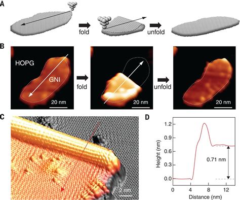 Dairy products Continental Endless scanning tunneling microscope dna ...