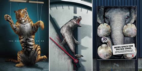 33 Powerful Animal Ad Campaigns That Tell The Uncomfortable Truth | Bored Panda