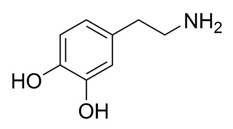 The dopamine molecule has an intermediate hydrop... - OpenStudy